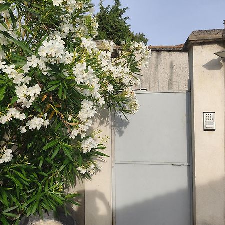 Appartement Velleron-4 Personnes Zewnętrze zdjęcie